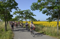 BICICLETTATA "Sognando la Ciclabile"