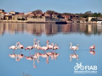 La prima dell’anno - Orbetello e il Monte Argentario