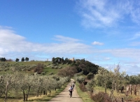 Il Parco di Montioni, Montebamboli e la vecchia ferrovia del carbone