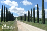 Eleiva 2023 - percorso degustativo dell’oro verde toscano in collaborazione con le aziende del territorio