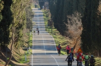 Le grotte gialle di Bibbona e il Viale dei Cipressi