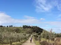 Il Parco di Montioni, Montebamboli e la vecchia ferrovia del carbone